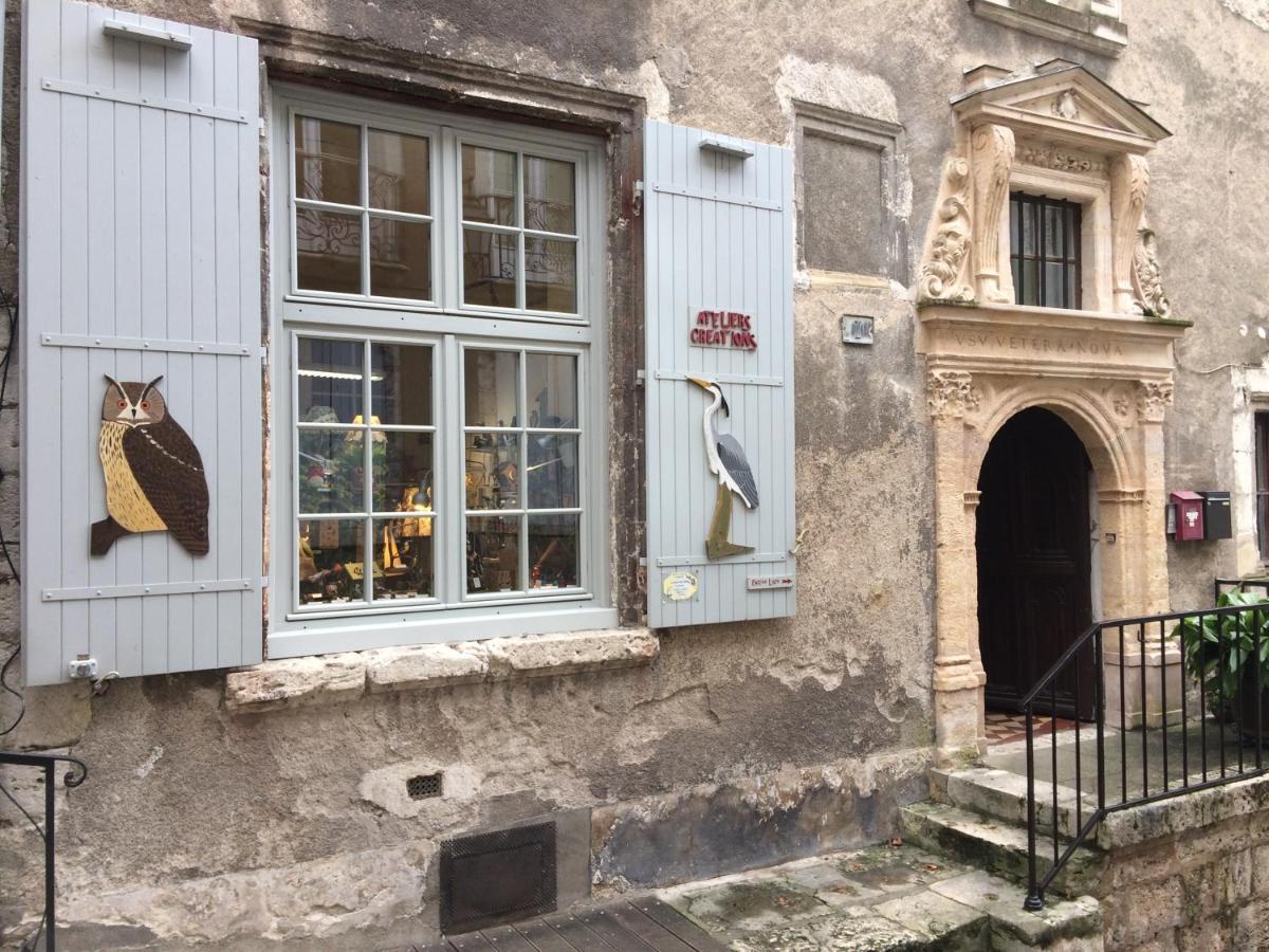 Chatel Rose - Historical Centre With Garden Блуа Екстер'єр фото